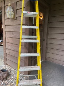 lot 130 image: 7 Ft Louisville Ladder LS111-07