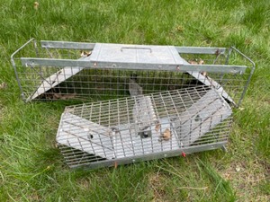 lot 65 image: Two Live Animal Traps