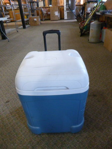 lot 55 image: Igloo Cooler