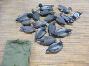 lot 191 image: 17 Duck Decoys