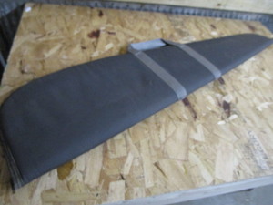 Padded Gun Case
