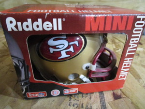 Riddell Mini Helmet