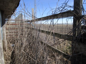 Wind Break Fence - WINNING BIDDER MUST REMOVE COMPLETELY