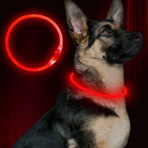 lot 99 image: Led Dog Collar, USB Rechargeable Flash Dog Necklace Light, Pet Safety Collar Makes Your Beloved Dogs Be Seen at Night for Small Medium Large Dogs