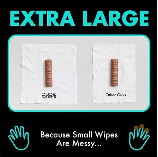 lot 394 image: NEW DUDE Wipes Flushable Wipes, Extra Large, Mint Chill Wipes (400 ct.)