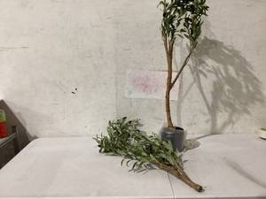 lot 446 image: Bellacat artificial Olive Tree