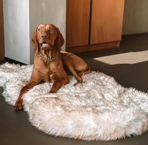 lot 144 image: Luxury Faux Fur Orthopedic Dog Bed,  White, 50x30