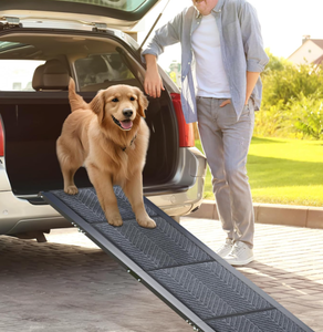 lot 205 image: Morpilot Dog Ramp for Car, 63 Long & 17 Wide Folding Portable