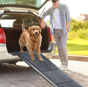 lot 244 image: Morpilot Dog Ramp for Car, 63 Long & 17 Wide Folding Portable Pet Ramp with Non-Slip Carpet Surface