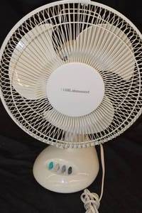 lot 83 image: Lakewood Electric Fan
