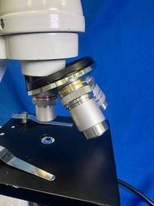 lot 80 image: Wolfe Microscope Carolina Biological Supply Company 4x 10x 40x