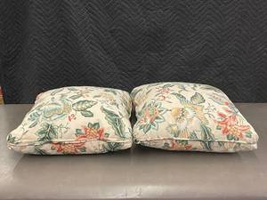 lot 32 image: 2 Pillows 17X17inches                              B3