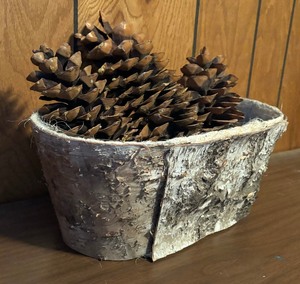 Beautiful Birch Bark Basket with Pinecones