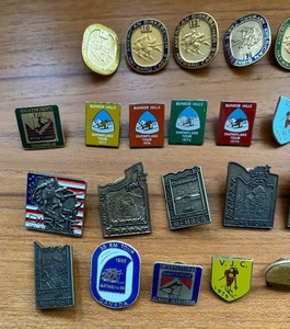 Variety of Ski Motif Pins