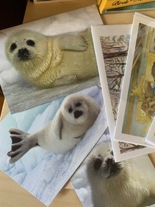 Stunning Collection of New Greeting Cards and Envelopes, Includes Wolf Rubber Stamps and Stamp Pads