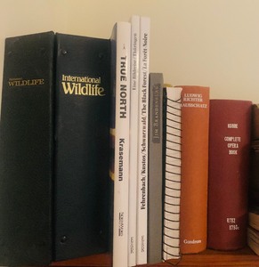 Variety of Wonderful Vintage Books