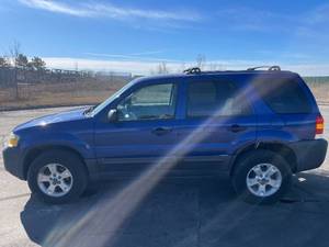 lot 19D image: 2006 Ford Escape XLT