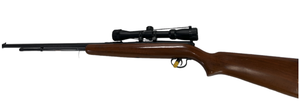 Remington 22 cal