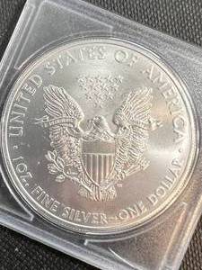 2009 AMERICAN SILVER EAGLE 1 TROY OZ .999 FINE SILVER UNC IN CASE