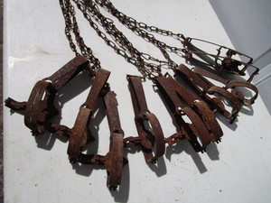 lot 280 image: Victor Pan Traps
