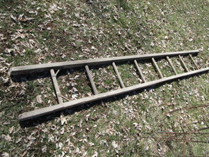 lot 289 image: Wooden Ladder