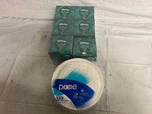 6 Packs of Kleenex and 125 Dixie Paper Plates