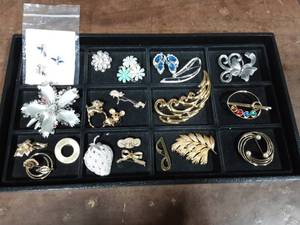Lot Of Brooches Not the Tray