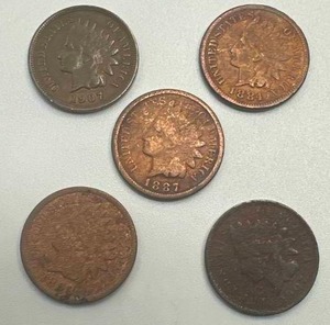 Lot of 5 Indian Head Pennies