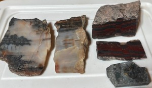Petrified Wood, Faulted Iron Formation with Evidence of Displacement