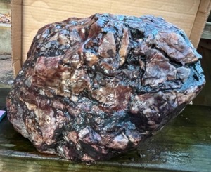 Large Conglomerate...