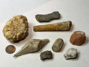 Devonian Aged Brachiopod, Feldspar Crystal, Sand, Fossil, Cephalopod,
