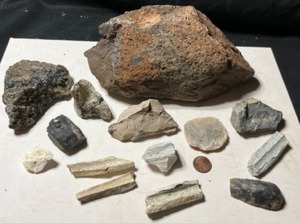 Petrified Wood, Agate, Fossils Etc...