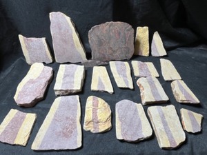 Black Hills ShaleMudstone Lower Paleozoic South Dakota, CutPolished Conglomerate Deadwood Formation South Dakota...