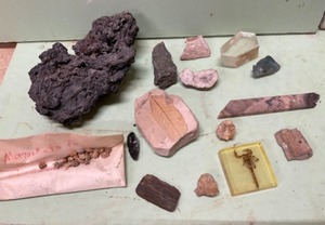 Scoria, Calcite, Petrified Wood, Scorpion in Plastic, Fossils Etc.