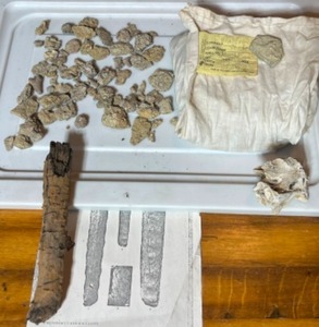 Waldron Shale, Fossils Etc.