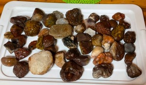 Various Agates, Chert and Rocks of Interest...
