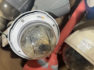 lot 60 image: Bin of Axis Security Cameras, multiple sizes