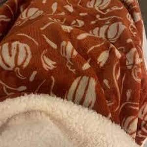 lot 63 image: Set of 2 Mini Pumpkin Printed Plush with Shearling Reverse Throw Blanket - Threshold-Orange