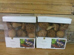 lot 108 image: Set of 2 Jute Acorns & Mushrooms Vase Filler