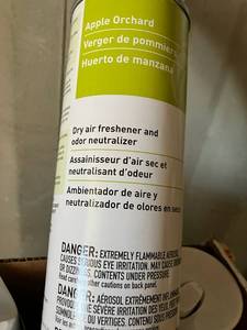 lot 19 image: Apple Air Freshener