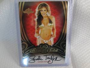 2015 Bench Warmer Sandi Taylor Auto...