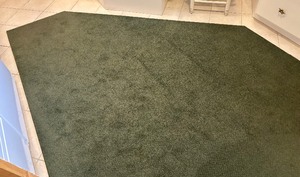 Remarkable Area Rug