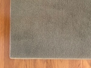 Plush Sage Green Accent Rug