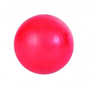 Hueter Toledo Virtually Indestructible Ball 10 inches 095467010105