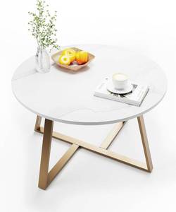 Evajoy Coffee Table, 27.6 Circle Coffee Table, Center Table, Modern Coffee Tables for Living Room, Faux Marble Desktop, White