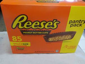 8585 ct Reeses Peanut Butter Cups Snack Size