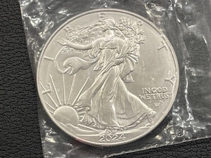 lot 74 image: 2024 Silver Eagle