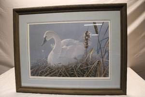 lot 85 image: Swan in cattails, framed artwork