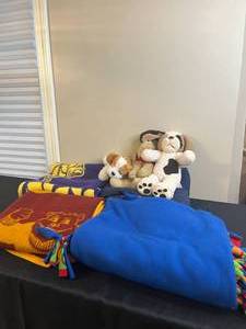 lot 191 image: Minnesota Vikings Blanket, MN Gophers Blanket, Build a Bear Stuffed Animals, and More