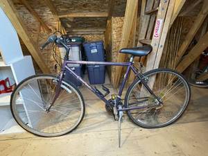 lot 308 image: Cross Roads SPECIALIZED Purple Bike - BIKE ONLY